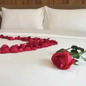Cuore di petali di rosa
