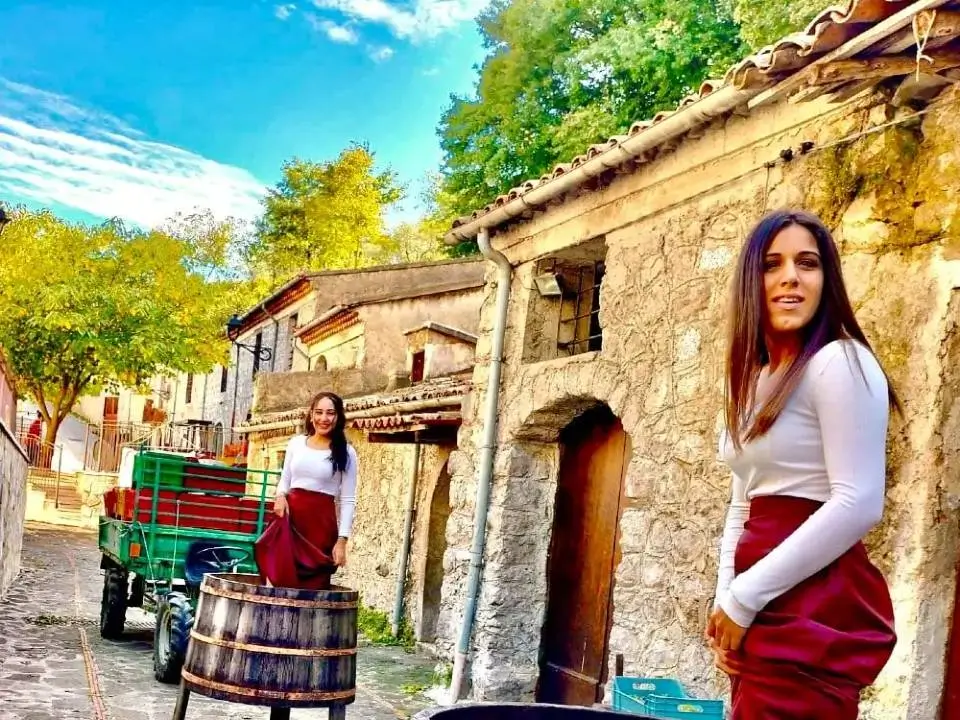 La Vendemmia di una Volta